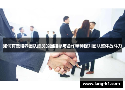 如何有效培养团队成员的团结感与合作精神提升团队整体战斗力