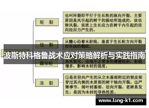 波斯特科格鲁战术应对策略解析与实践指南