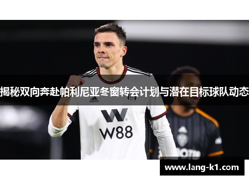 揭秘双向奔赴帕利尼亚冬窗转会计划与潜在目标球队动态 揭秘双向奔赴帕利尼亚冬窗转会计划与潜在目标球队动态