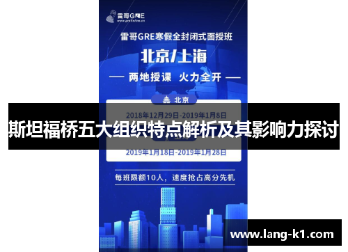斯坦福桥五大组织特点解析及其影响力探讨